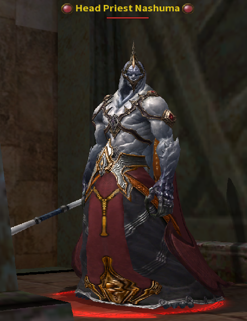 Head Priest Nashuma